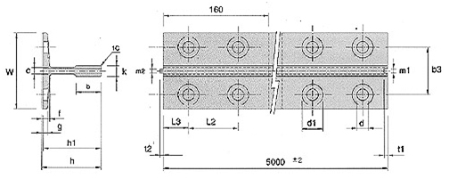 Elevator Machined guide rail